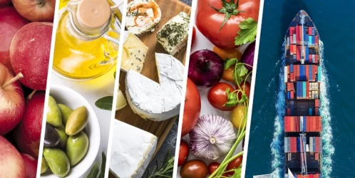 Trade Guide with Iran: Import of Agricultural Products